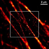 PAL-M Super-resolution technology